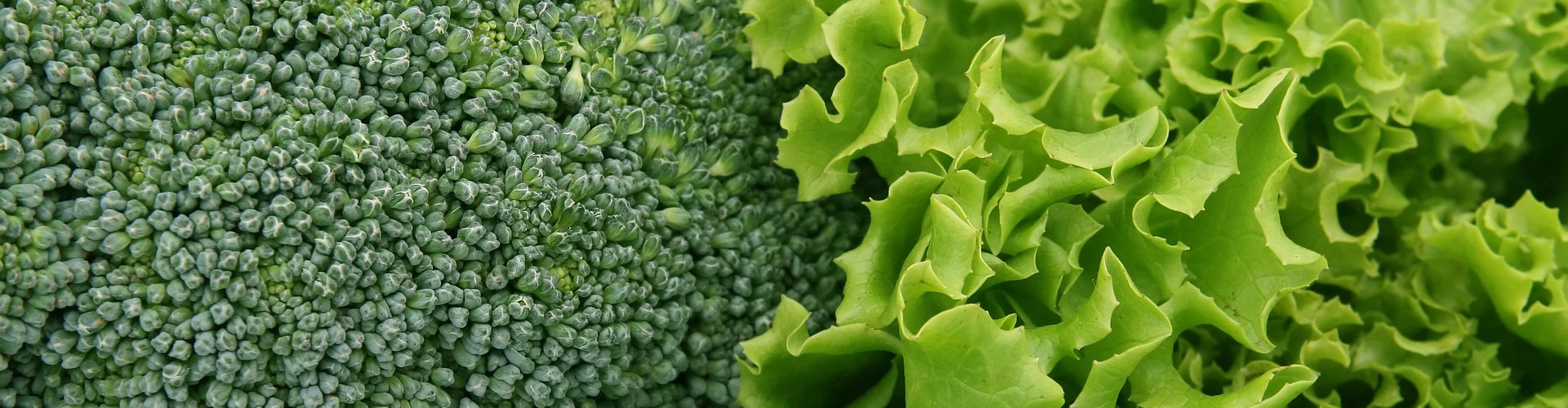 公司常年生产、加工、销售各类保鲜、腌渍、水煮蔬菜、调理食品等产品 - 产品中心